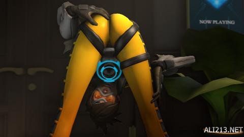 名经验丰富 名经验丰富