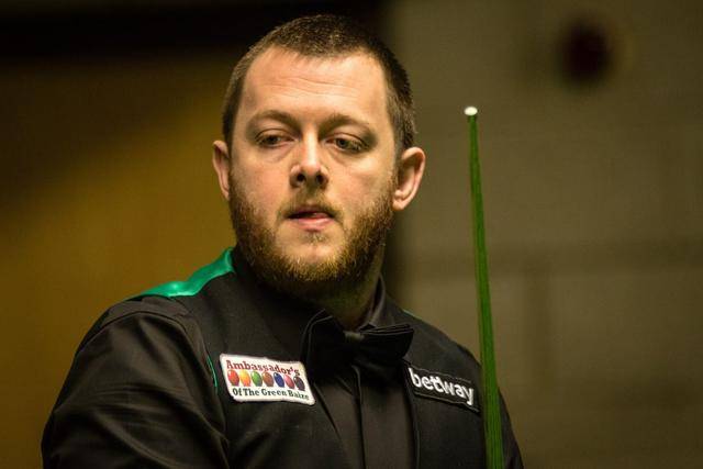 造自己的比 造自己的比